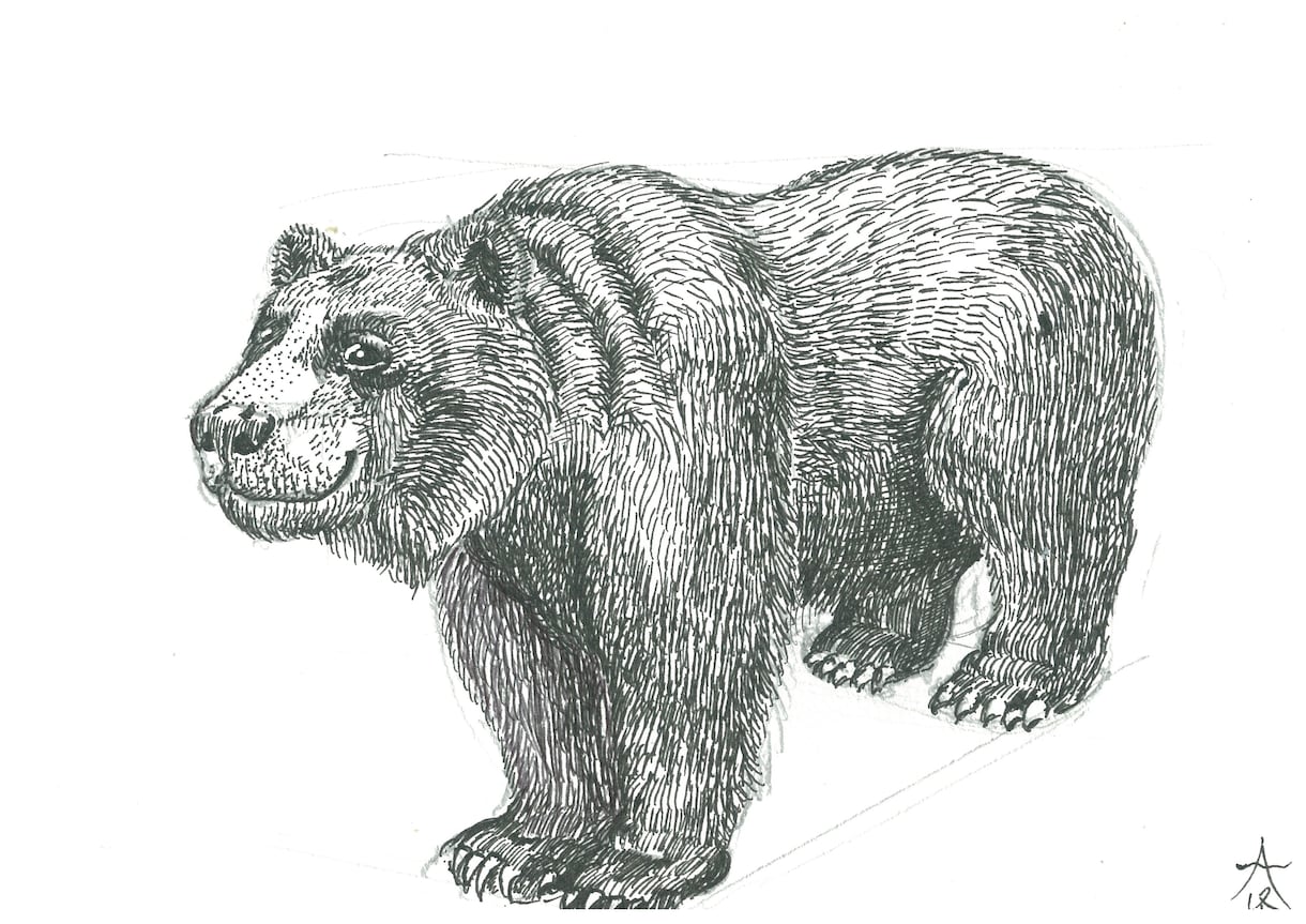 味のあるイラスト作成致します ボールペン画で雰囲気のある絵ならお任せください。 イメージ4