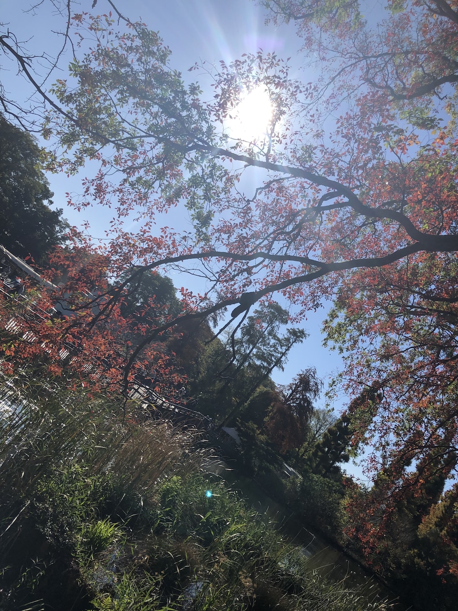 20代介護士が何でもお話し聞かせて頂きます 日々の不満や悩み、何でも話して下さい！ イメージ2