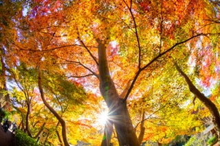 お部屋に飾る風景写真を提供します 写真歴10年　撮り溜めた風景写真をデータで提供します。 イメージ2