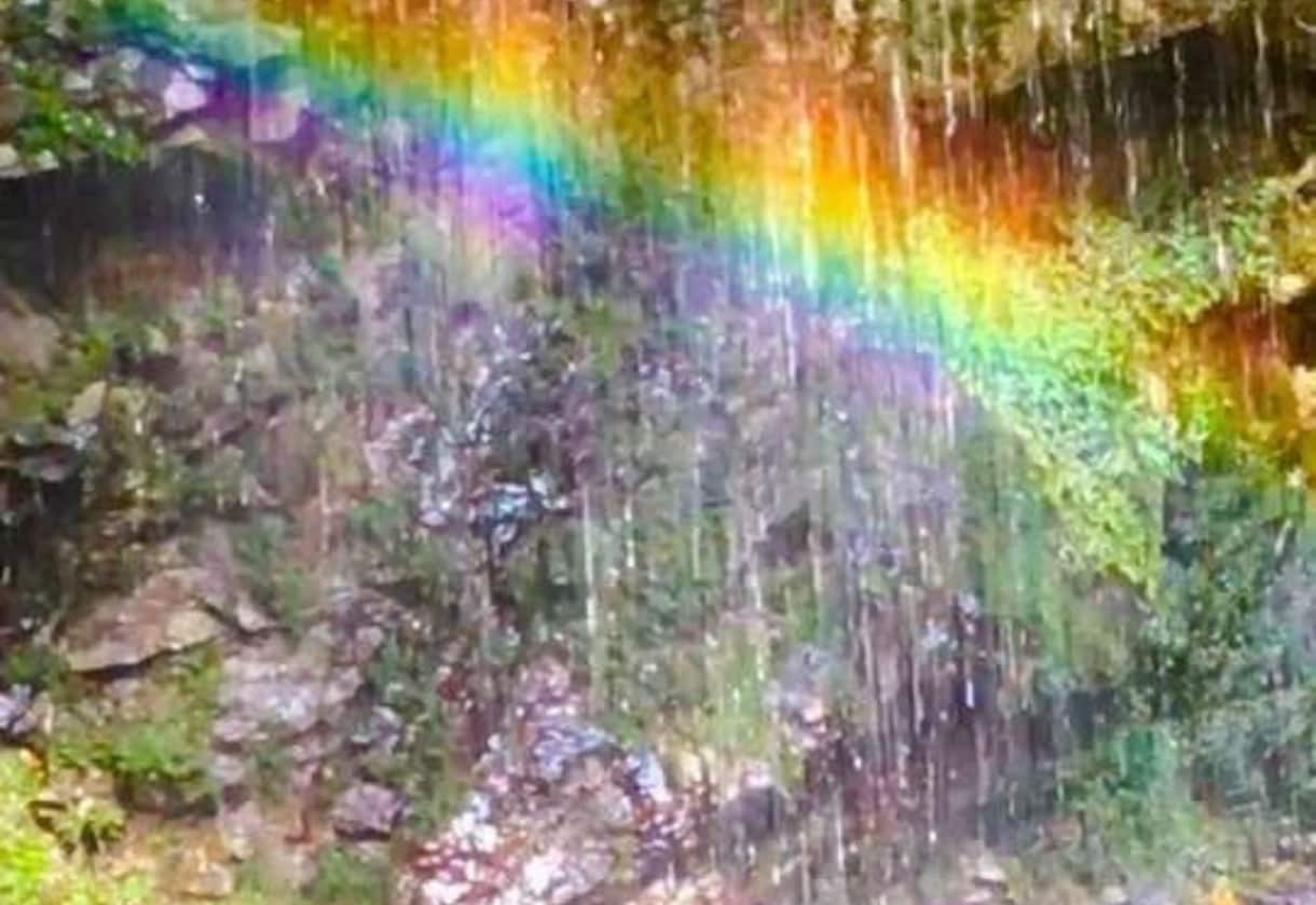 再鑑定☆リピーター様限定☆霊視鑑定します 恋愛/金運/仕事/人間関係など様々なお悩みを再鑑定 イメージ4