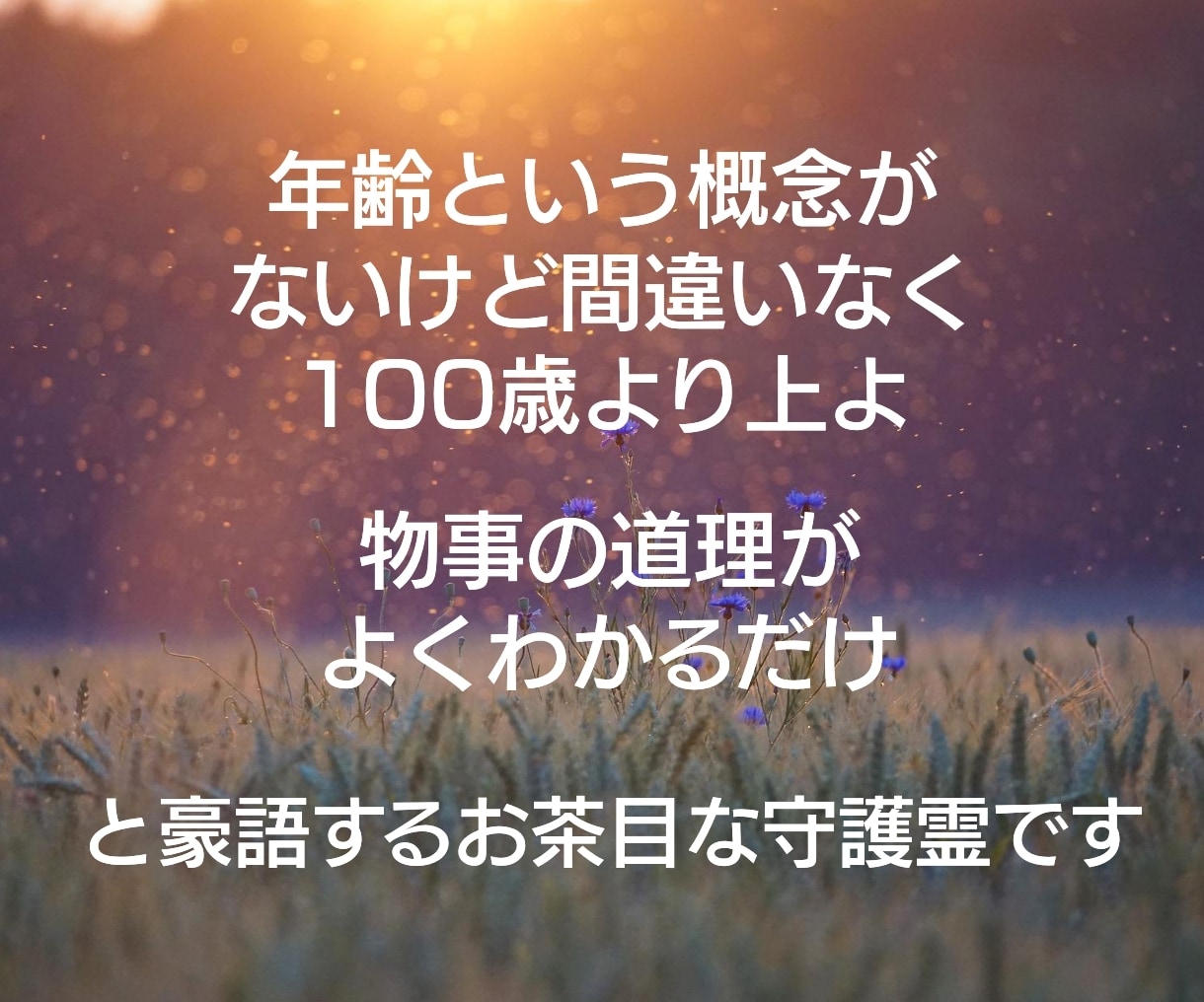 天界からの視点であなたのお悩みに助言します あなたのすすむべき道を明らかにし人生好転の機に イメージ3