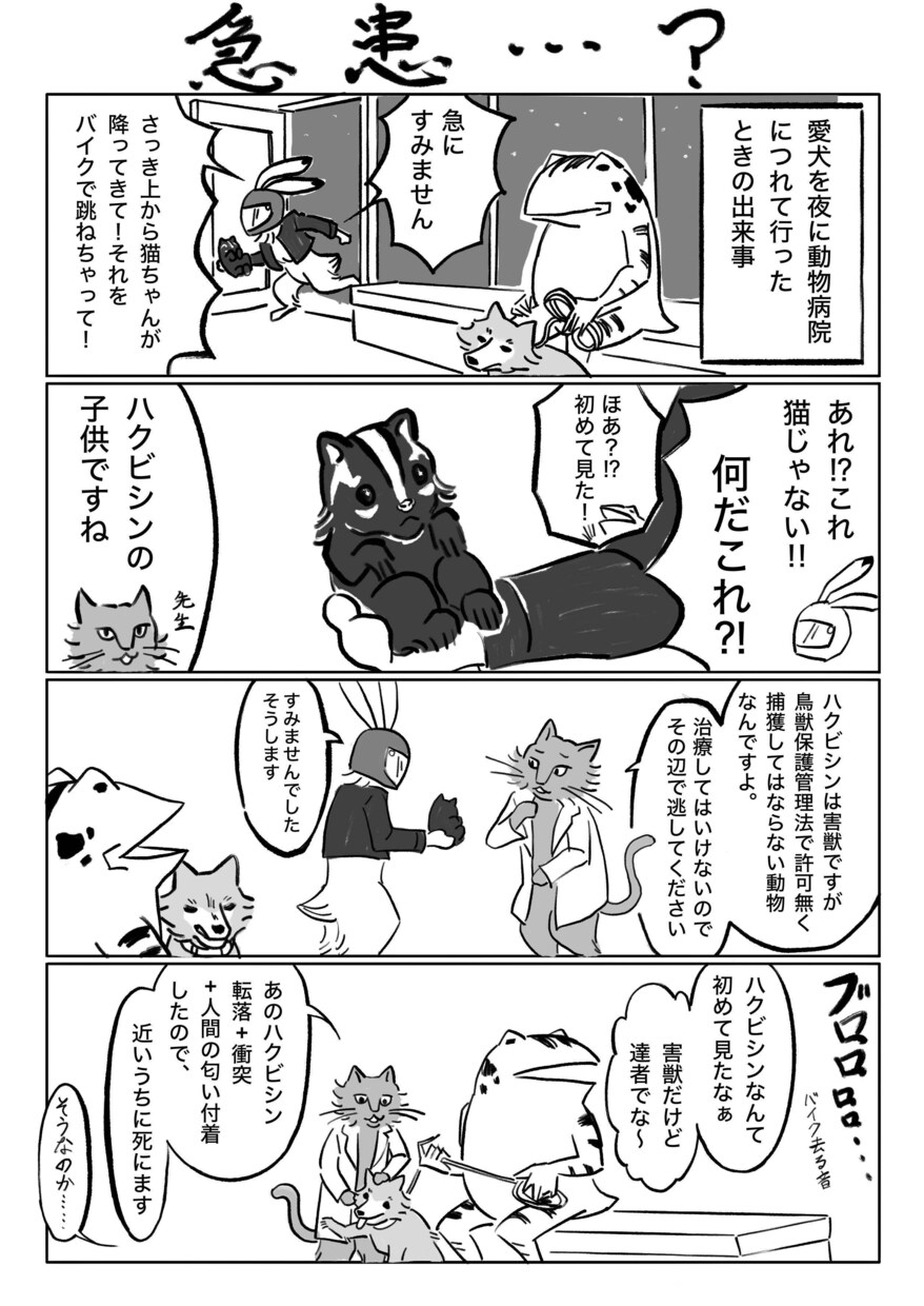 鳥獣戯画風の漫画描きます イラストが得意なメンバー様による作成！ イメージ3