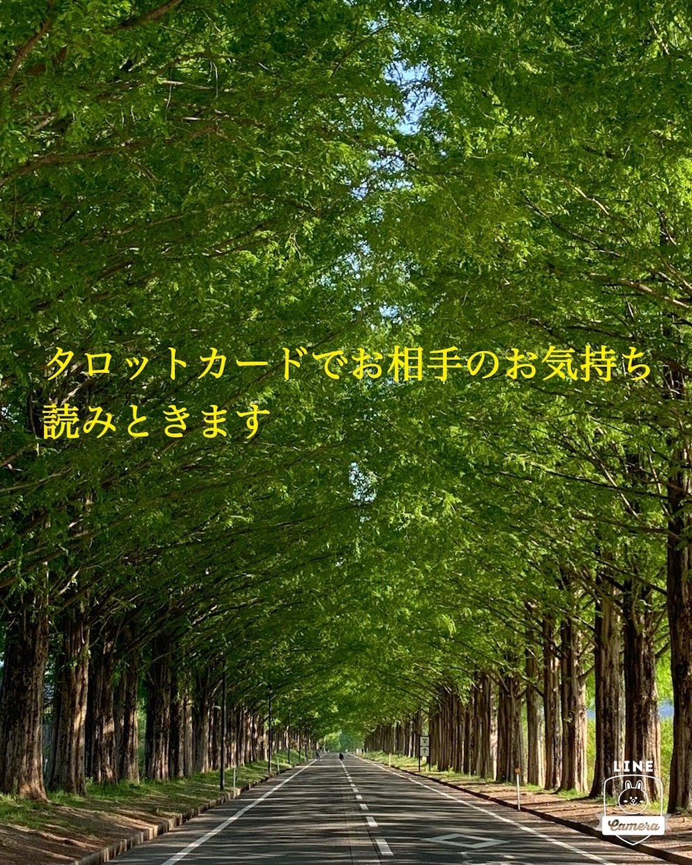 相手のお気持ち読み解きます 恋愛において一番気になるお相手のお気持ち！お伝えします イメージ1