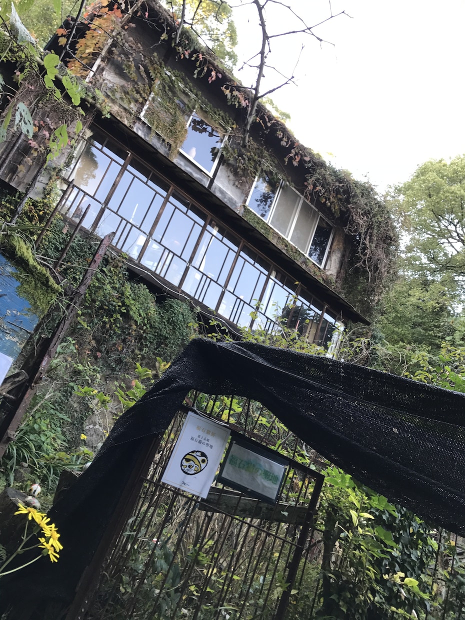 全国の旅行先など紹介致します 旅行先に迷ってる方にシーンに合わせた旅先の提供を！ イメージ3