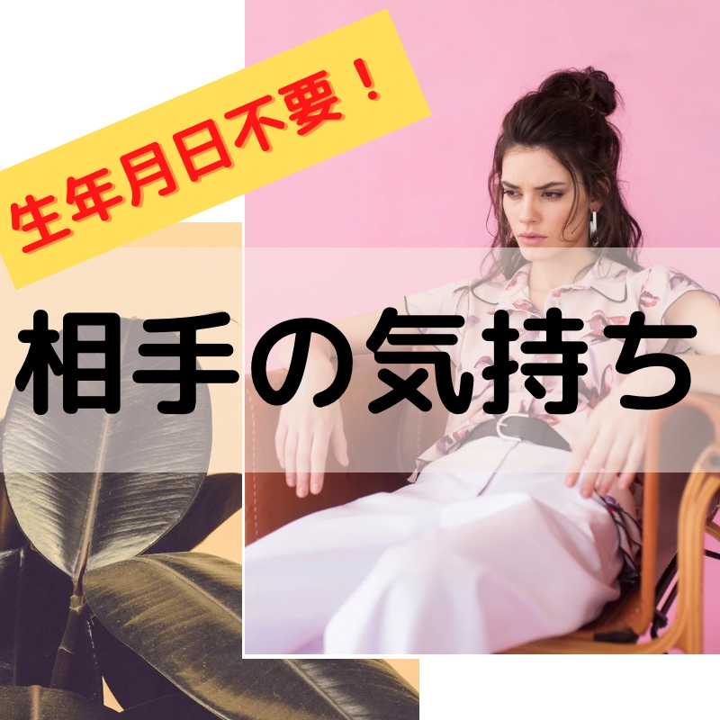 お相手の気持ちを生年月日不要で占います 少しでも知れたら動きやすくなりますよ✧*｡ イメージ1