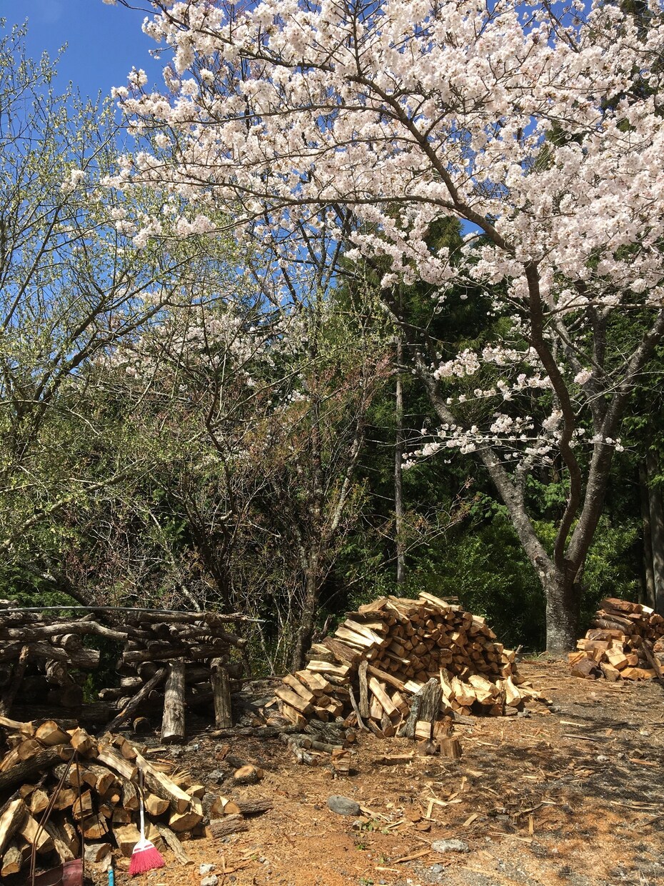 山間部への移住についてなんでも相談にのります 【山間部移住&開業ママ】ちょっと聞きたいアレコレに答えます イメージ1