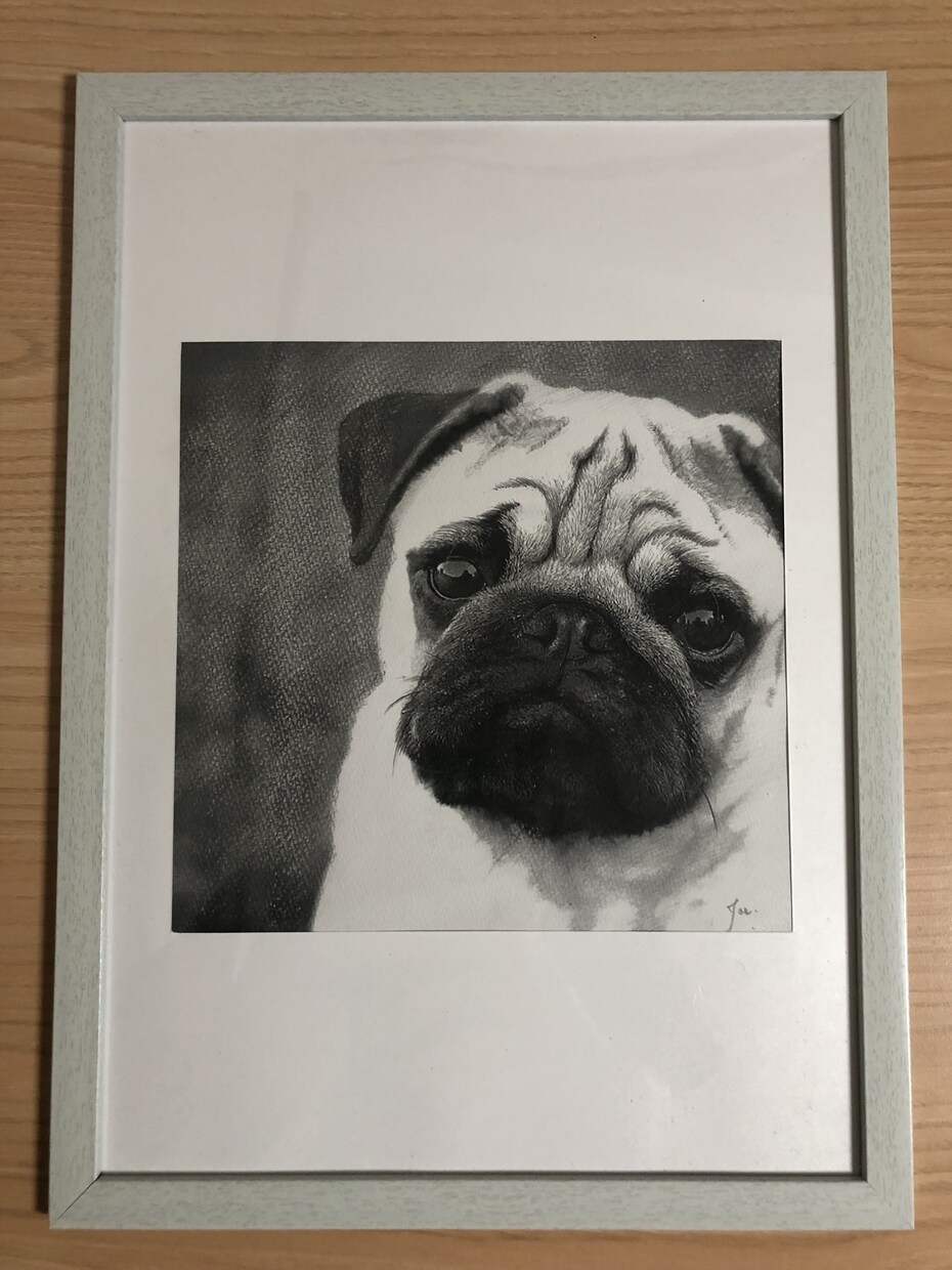 リアルなペットの似顔絵を鉛筆画で丁寧に描きます 写真より臨場感のある鉛筆画を、記念や思い出としていかがですか イメージ5
