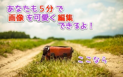 ５分で画像に可愛い文字を入れる方法を教えます。 イメージ1