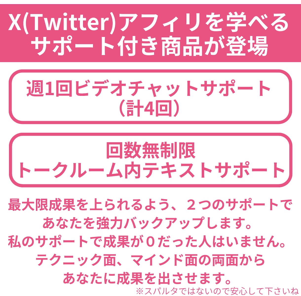 副業初心者専門！シンプル手法で初成果を上げさせます SNSを使った在宅副業を1ヶ月間徹底サポートで伝授します イメージ5