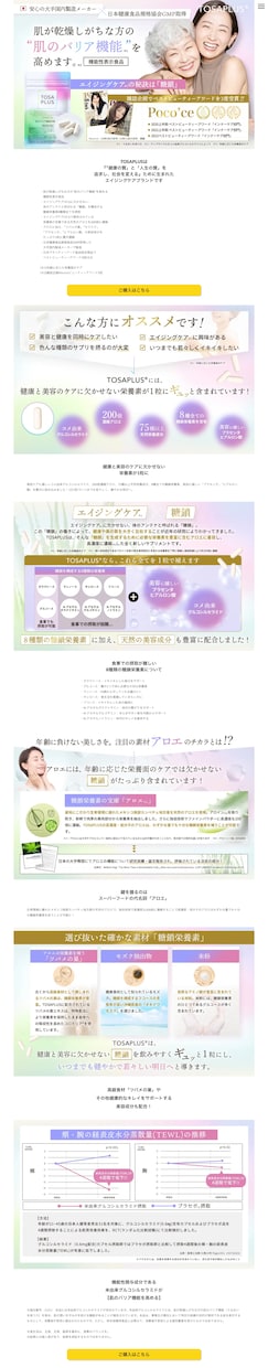 集客できないホームページやLPを診断・改修します 高額な作り直しは不要。今あるHPを集客できる形へリフォーム◎ イメージ4
