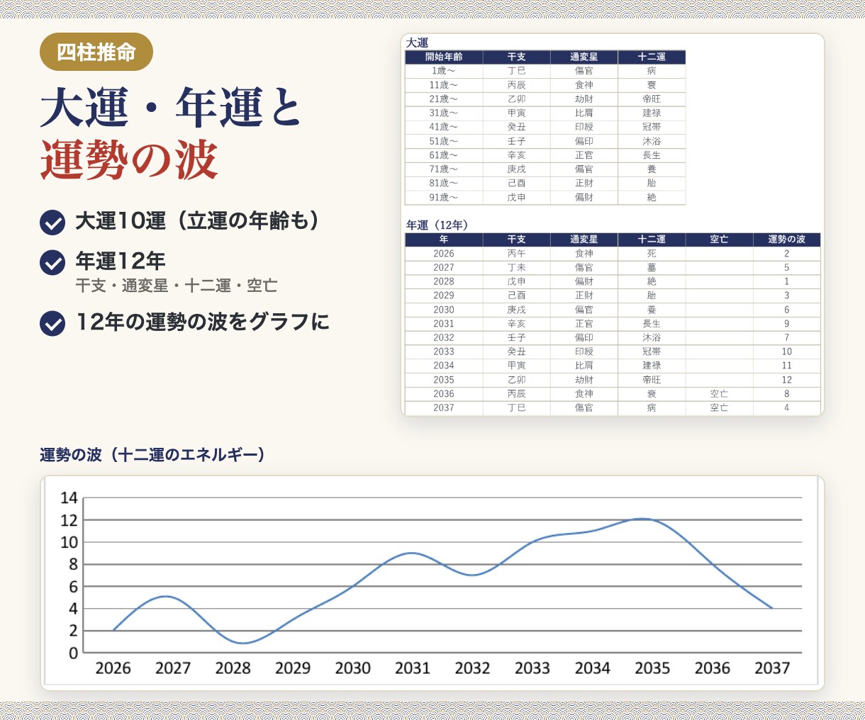 四柱推命・算命学・九星気学の鑑定書ツールを渡します 流派切り替えに対応。A4・6ページの鑑定書も自動で作れます イメージ3