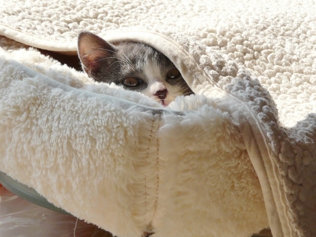 家族の借金でお悩みの方のお話し聞きます 借金取りから「返さなくて良い」と言われたエピソードお話します イメージ8