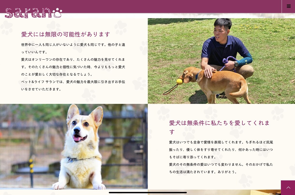 公認訓練士が愛犬でお悩みの方に寄り添います 愛犬の魅力を全て引き出します！ イメージ3