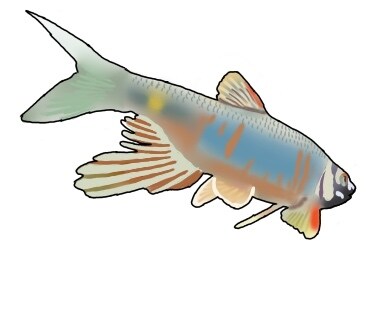 魚や爬虫類のアイコン、スタンプの作成をします あまり出回る数の少ない爬虫類や魚のアイコンを作成！ イメージ2