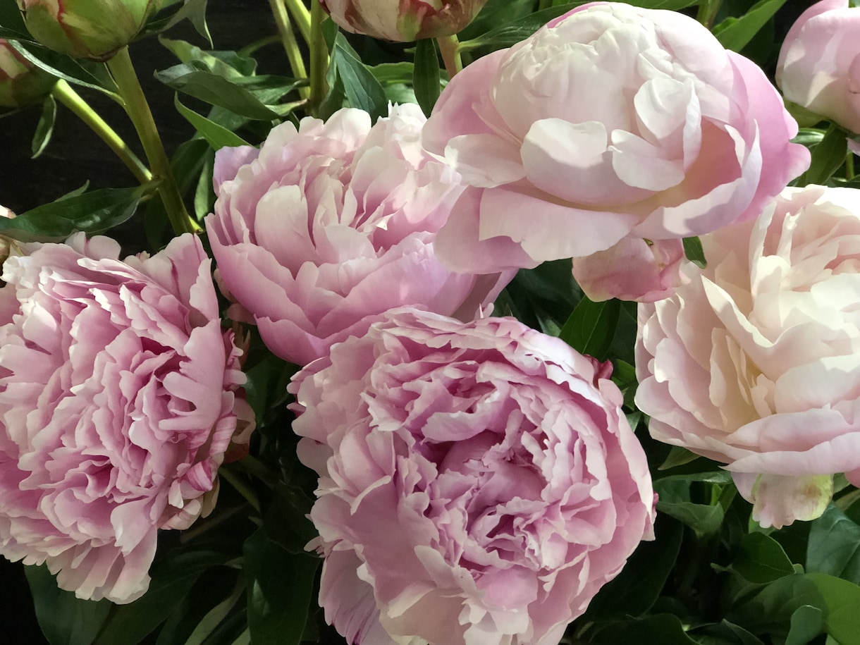 一緒に(お花の)プレゼント内容考えます お花をプレゼントしたいけど、どうしたらいいのか分からない方へ イメージ3