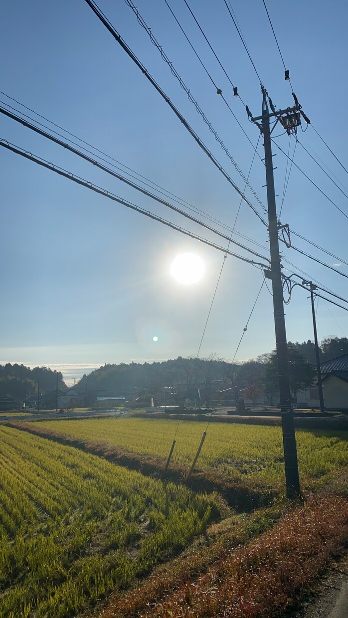 カウンセリング承ります 一緒に人生を変えて行きましょう。 イメージ1