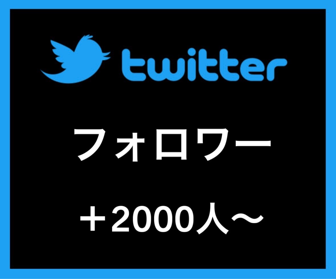 Twitterフォロワー＋2000人〜増やします あなたのSNSマーケティングをお手伝い致します イメージ1