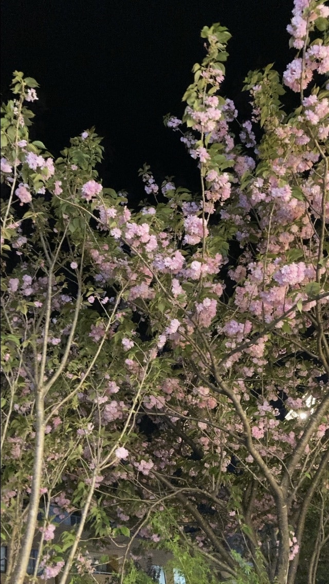 鑑定者11万人！生まれつきの霊感で真実を占います サイキックリーダー織慧と申します。人生全般透視します。 イメージ2