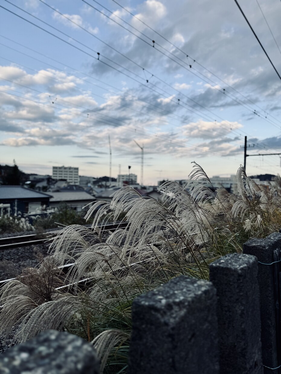 どんな内容でもお聞きしアドバイスができます どんなことでもぜひ、気軽に話してください！ イメージ2