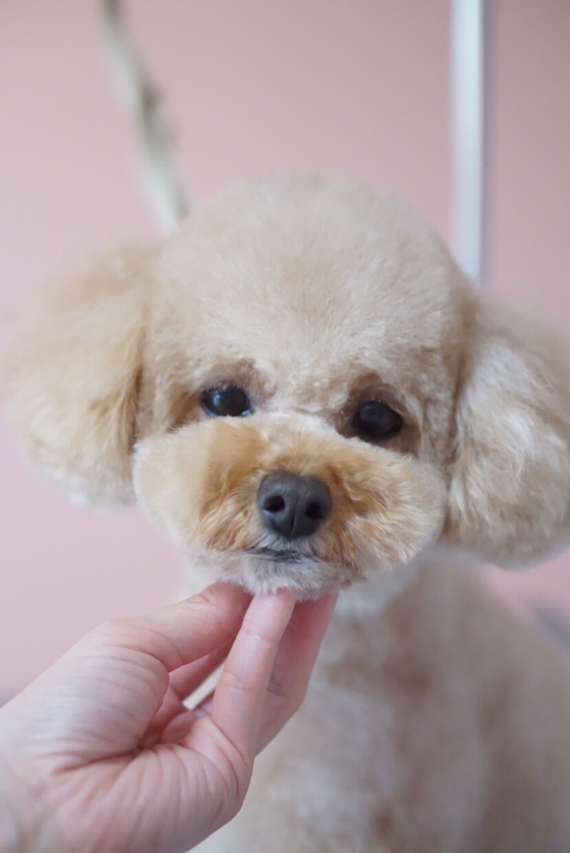 きらーーくにどうぞ！あなたにそっと寄り添います どんな話しでもOK！暇電から深刻な悩みまで親身にお聞きします イメージ3