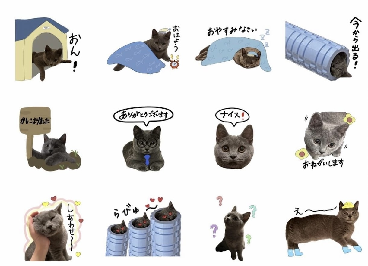 眠っているスマホの写真でLINEスタンプを作ります 可愛くて撮ったフォルダに入ったままの写真をLINEスタンプに イメージ6