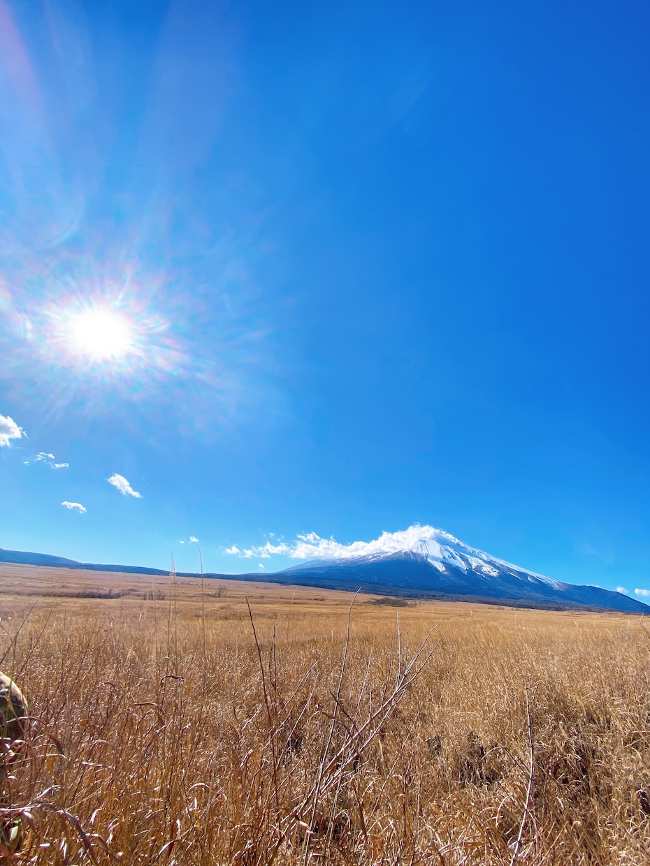 欲しい素材がありましたら提供致します 自然、動物等を主体に撮っております。 イメージ2
