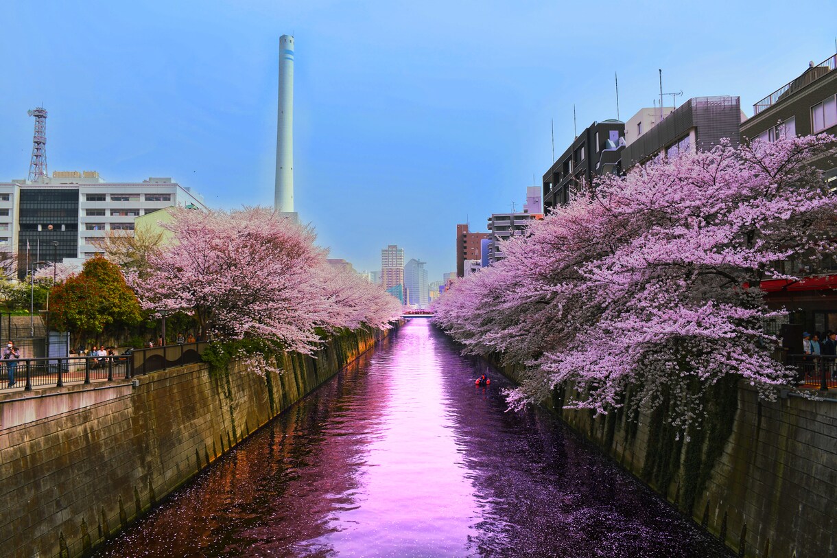 写真・音・動画撮ってきます 写真・動画・編集すべておまかせください！ イメージ5
