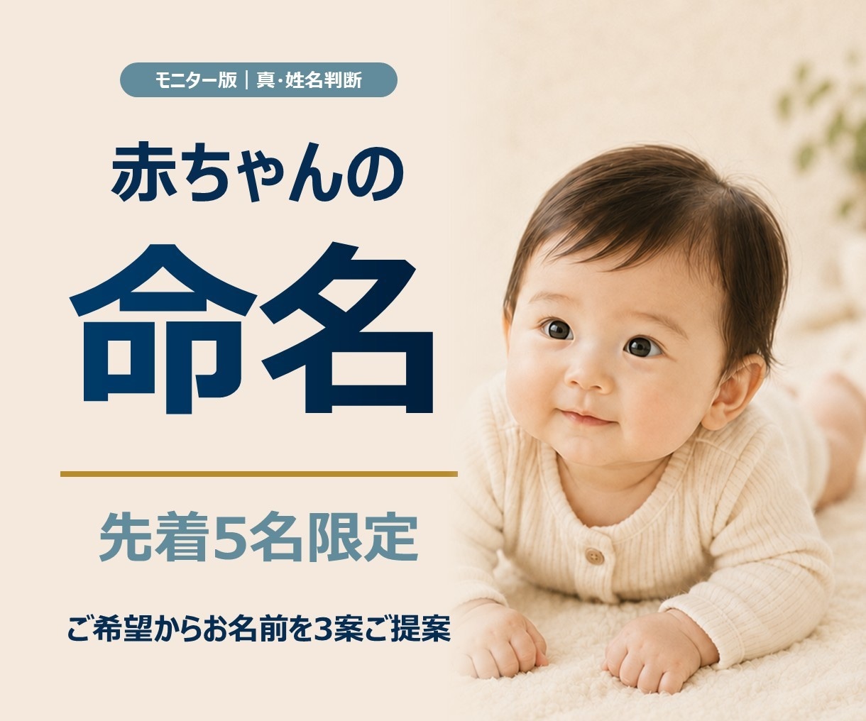 モニター版｜赤ちゃんの名前を真・姓名判断します 必要項目に絞った低価格の命名入門プランをモニター価格で イメージ1