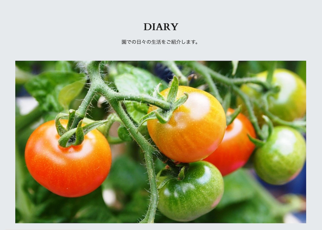 どんなサイトにすれば？プロが制作します 初めての方でも安心！思わず目を引くデザインを作ります イメージ10
