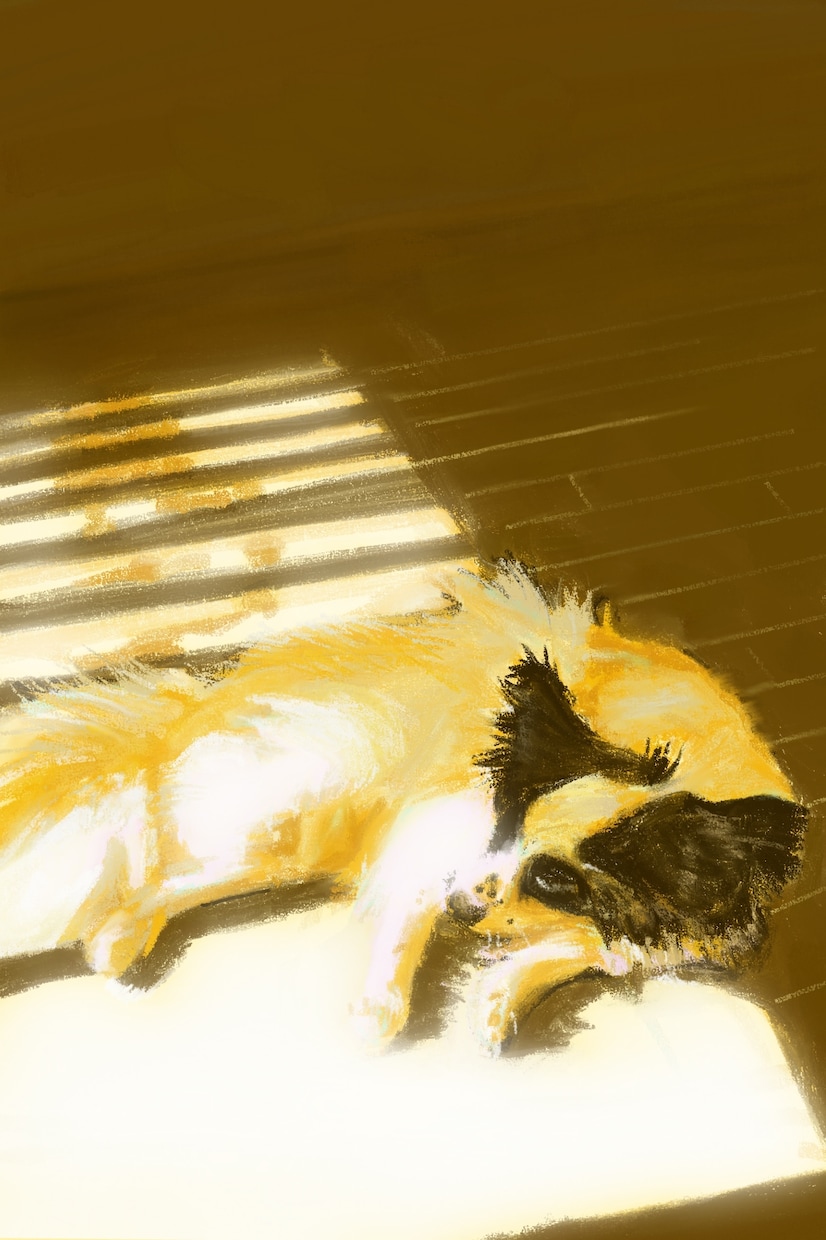 大切なペットの絵を描きます クレヨンや油絵風のインテリアとしても飾れる絵描きます。 イメージ1
