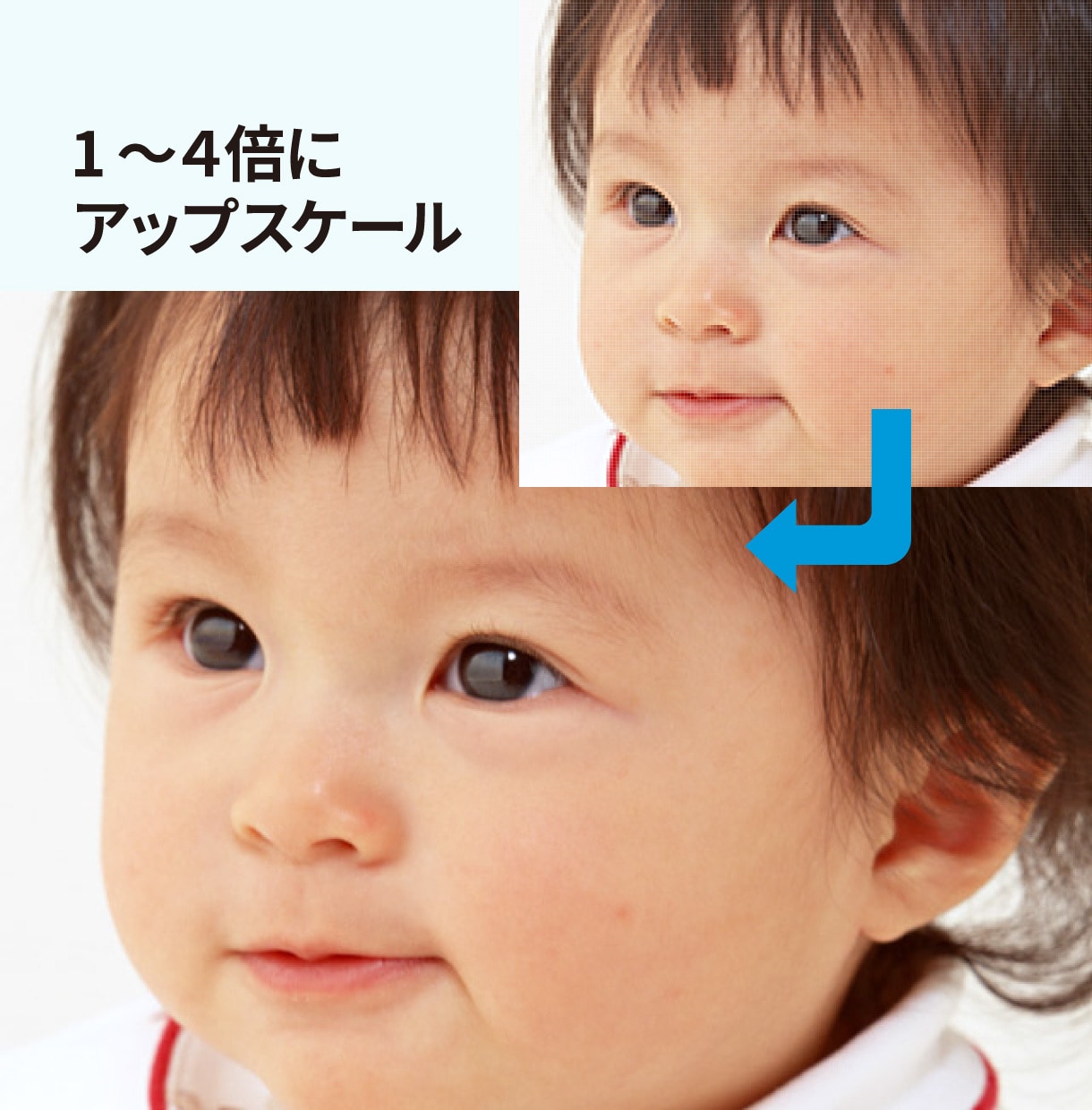 低画質・小さい写真を自然にくっきり高画質化します AI×プロレタッチで写真を高解像度化 イメージ2