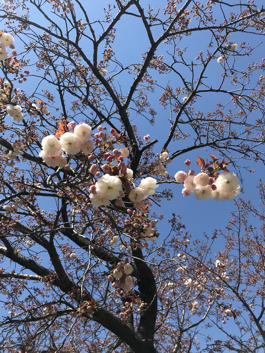 小学校教諭経験を生かし、ご相談にのります 子育て、教育、学級経営など多方面からアドバイスいたします！ イメージ1