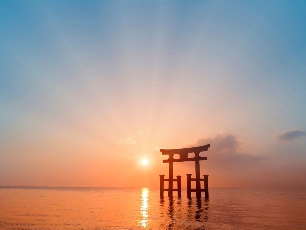鑑定実績4000人 プロ鑑定師が四柱推命で占います 生年月日、性別、出生地だけであなたの説明書がわかる！ イメージ1