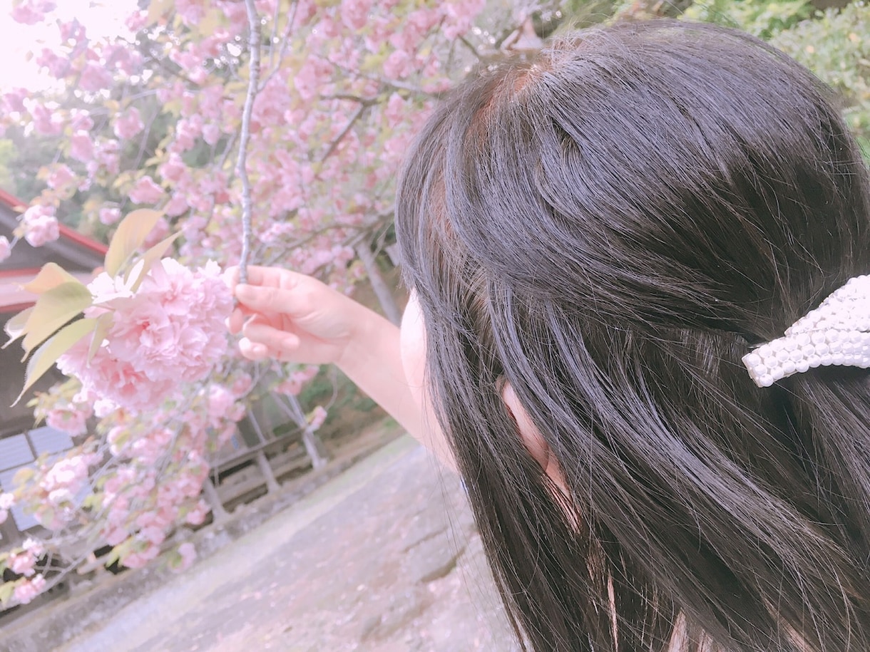 ペットの気持ちお伝えします ペットの気持ち、お星様になったペットの気持ちお伝えします イメージ1