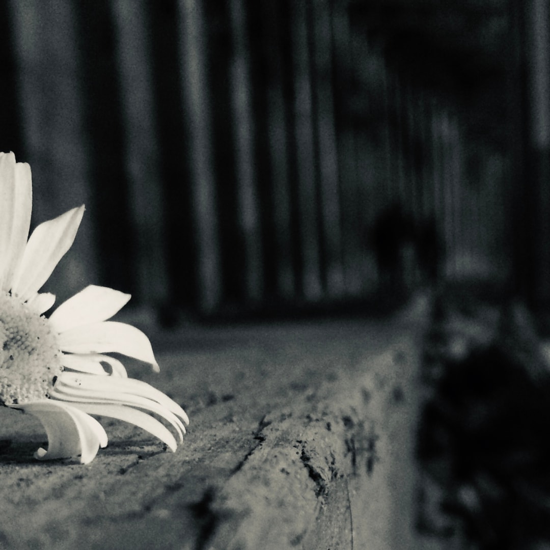 あなたに宿る霊能力を開花させ才能を開花させます 霊感・霊力の覚醒|未来を切り開き、運命を幸福にする至高の鑑定 イメージ4