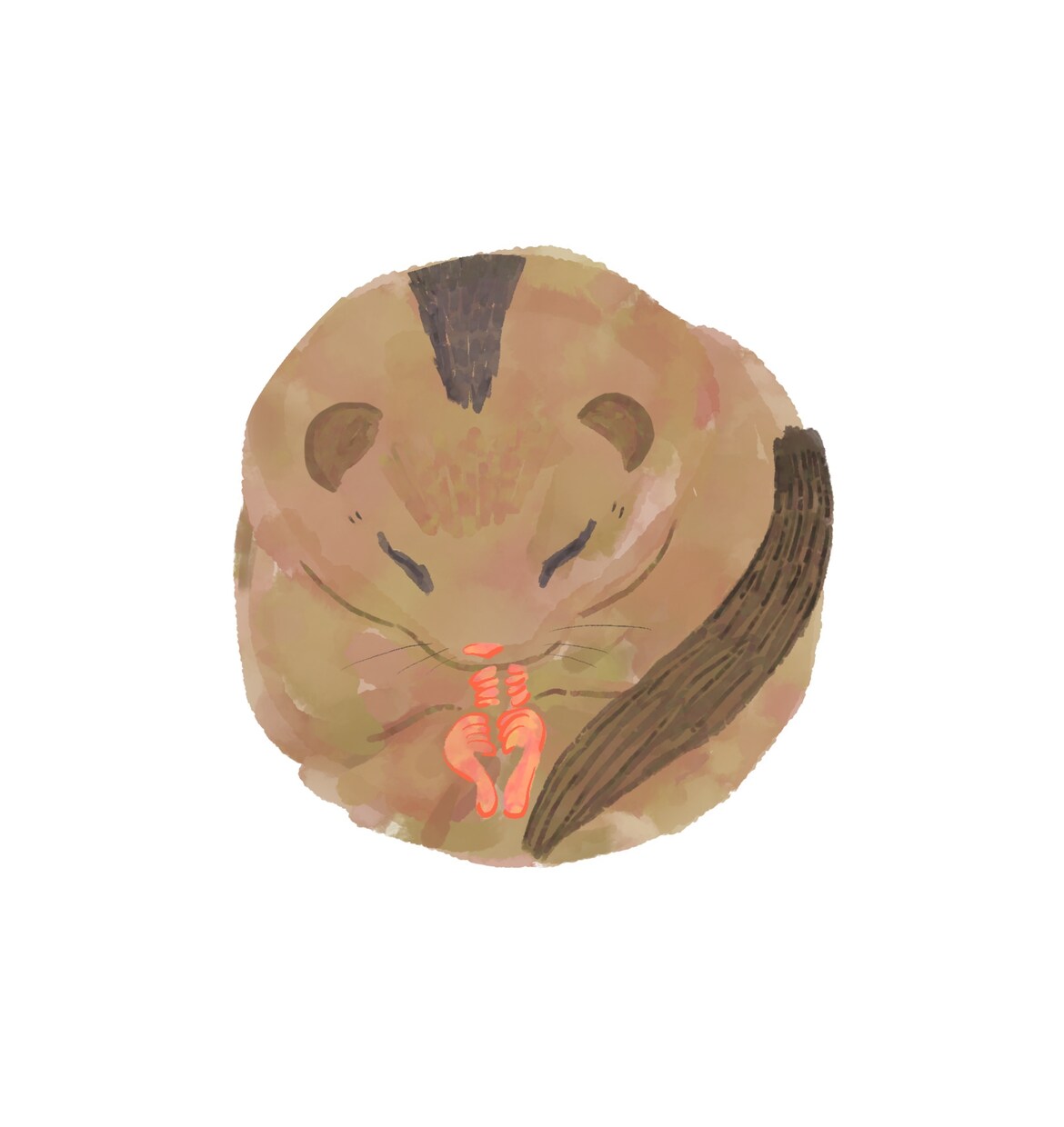 水彩タッチで動物のイラストを描きます ゆるっとシンプルに、しっかりと。動物の元研究員が制作します イメージ3
