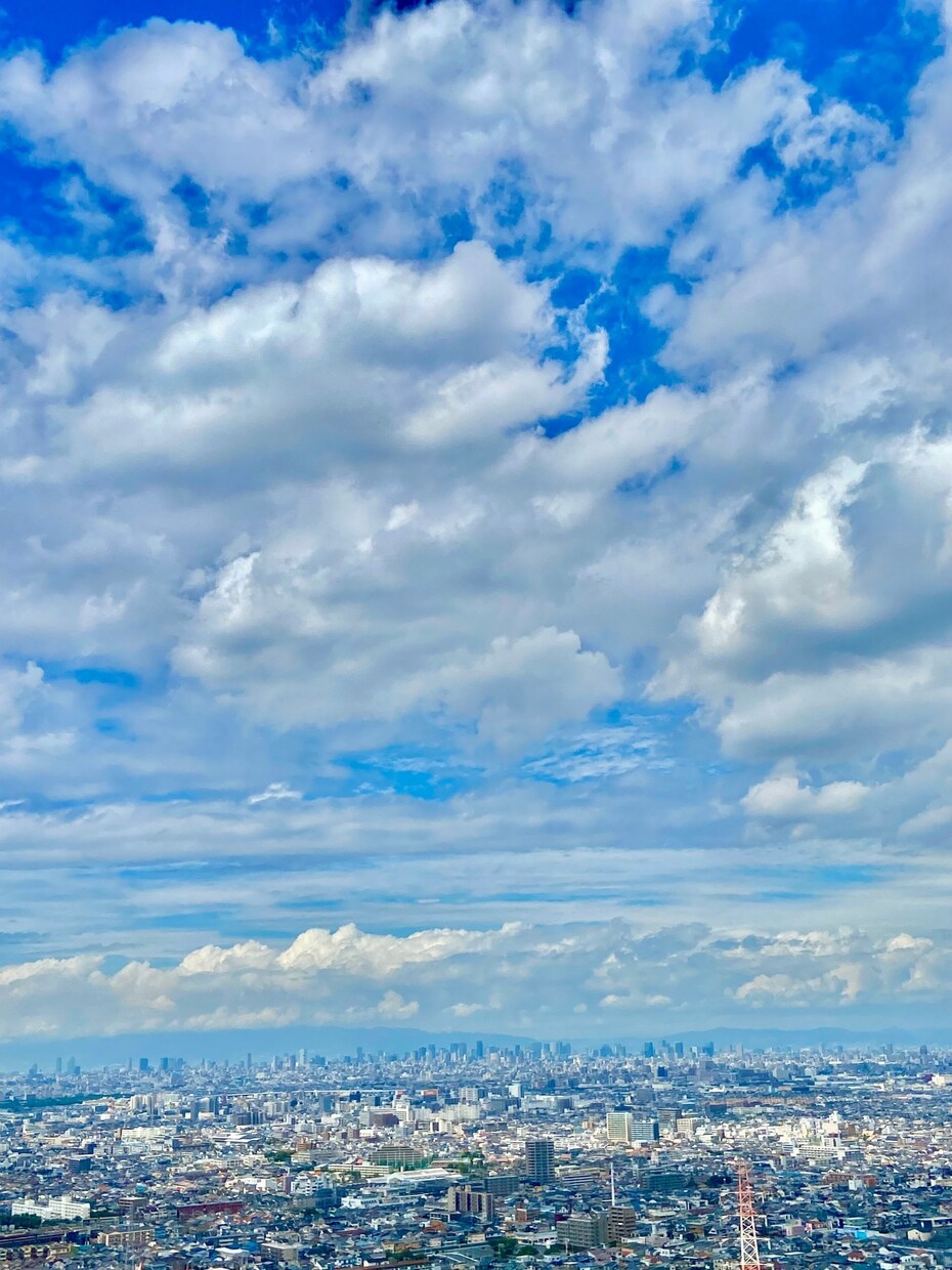 色々な心の疲れを癒します 小さな事から大きな事まで話してみませんか？ イメージ1