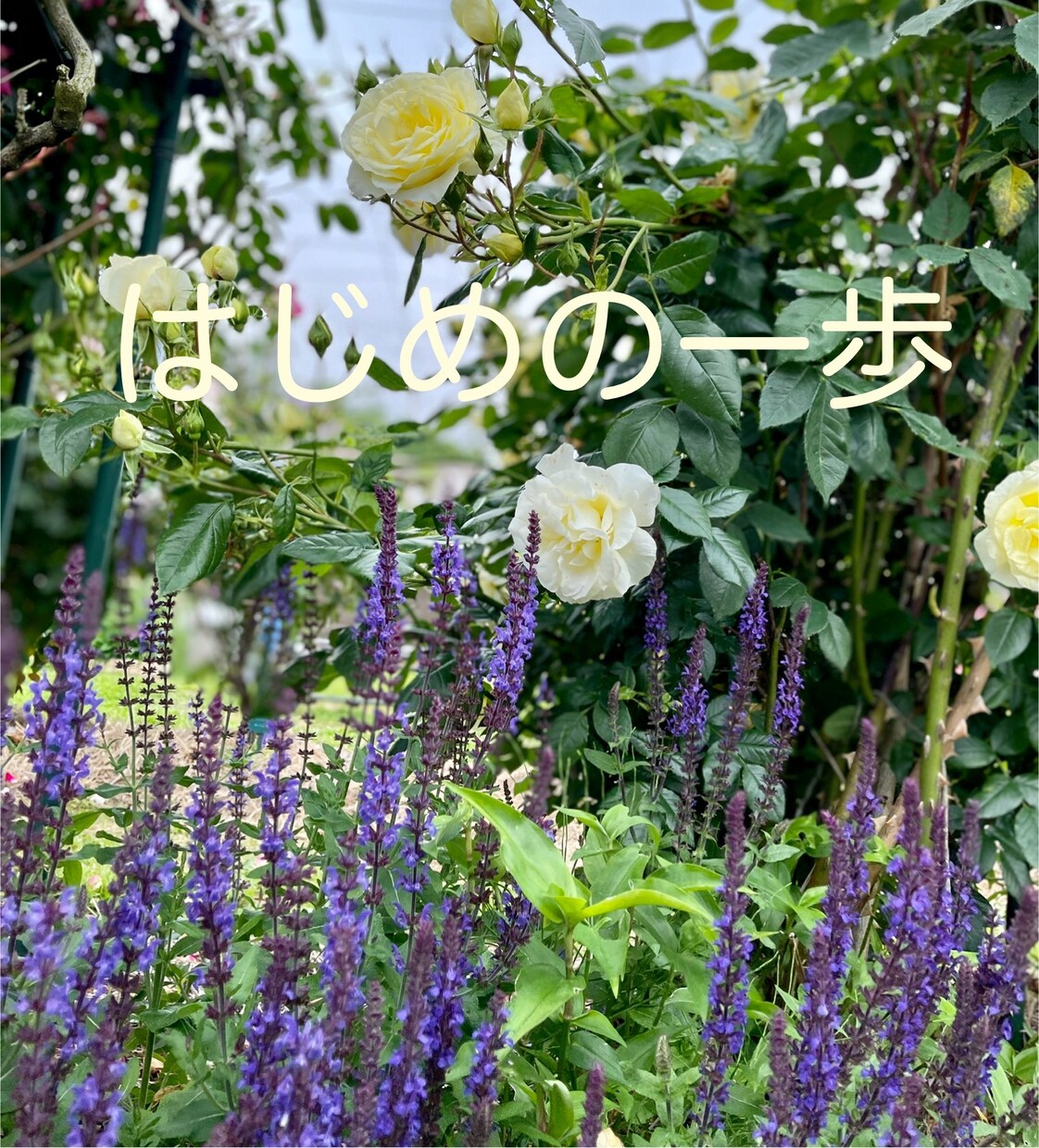 あなたのハッピーをお聴きします あなたの大切な声で、心の嬉しい！を伝えてください。 イメージ5