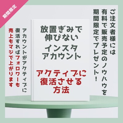 インスタグラムの日本人フォロワー増やします 【期間限定】伸びないアカから復活するノウハウPDFプレゼント イメージ2