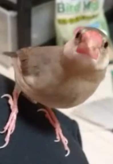 カミングアウト受けます あなたに関係のない私ですが、どんな秘密でも話してください。 イメージ1