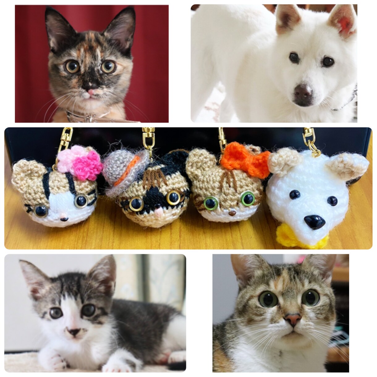 ペットのお写真であみぐるみ作ります キーホルダーやストラップにも出来ます♡ イメージ1