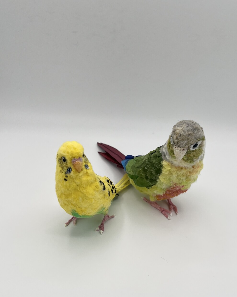 リアルで可愛いペットのインコ人形を作成します 大事なペットちゃんを和紙で可愛く作ります！ イメージ5