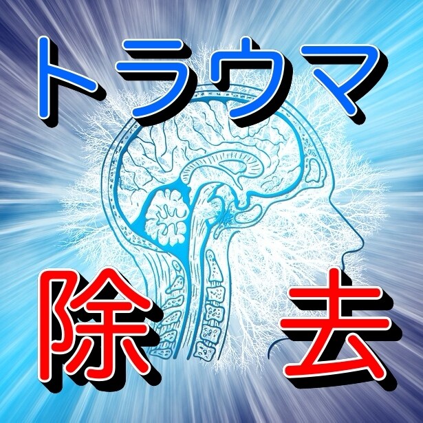 あなたの不調はトラウマから！最先端科学で除去します 幼少からのトラウマがあなたの今を悩ませています！ イメージ1