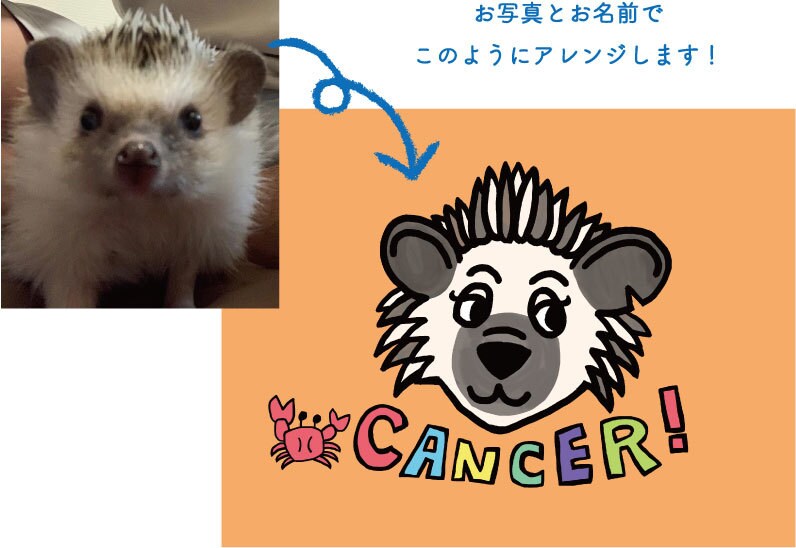 あなたのペットの似顔絵描きます 動物限定！相棒をイラストにします☆ イメージ3