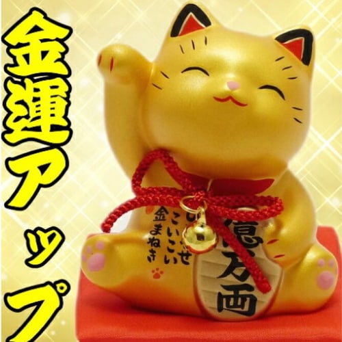 赤いお狐様が導く金運激変占います ★金運上昇★投資&副業★起業★霊感霊視タロット★ヒーリング★ イメージ8