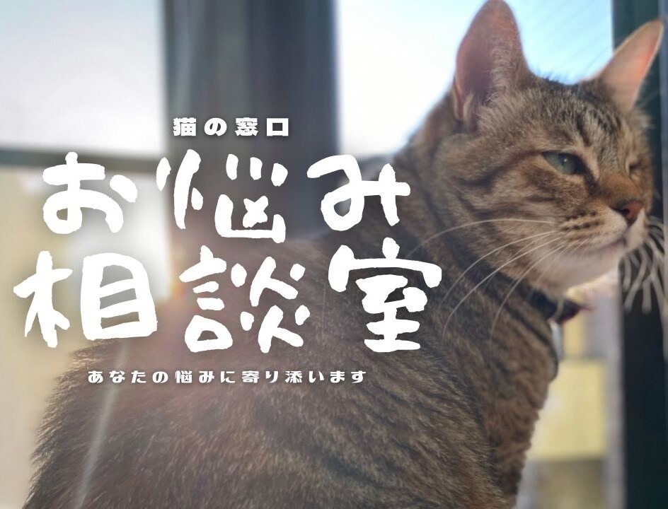 鬱だった自分でも元気になれた方法、アドバイスします 経験があるからこそ、あなたの気持ちに寄り添ってお答えします イメージ2