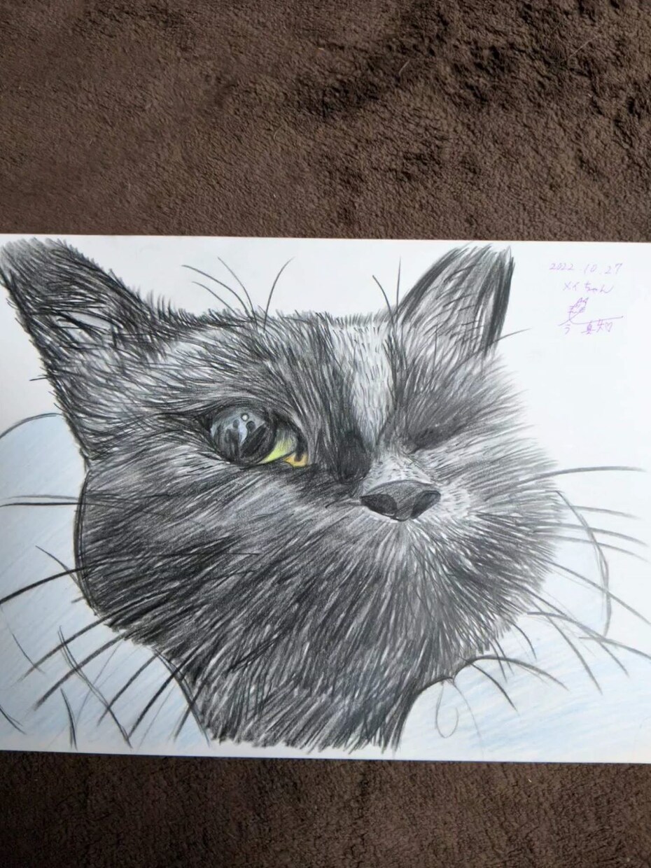 猫の似顔絵描きます 色鉛筆画で写真そっくりに描きます。 イメージ2