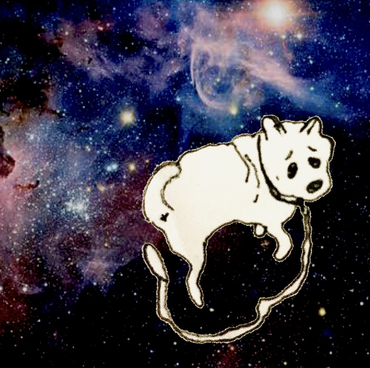 ペットのワンちゃんイラスト描きます 【犬限定】✰︎あなたのワンちゃんを宇宙に浮かばせませんか✰︎ イメージ6