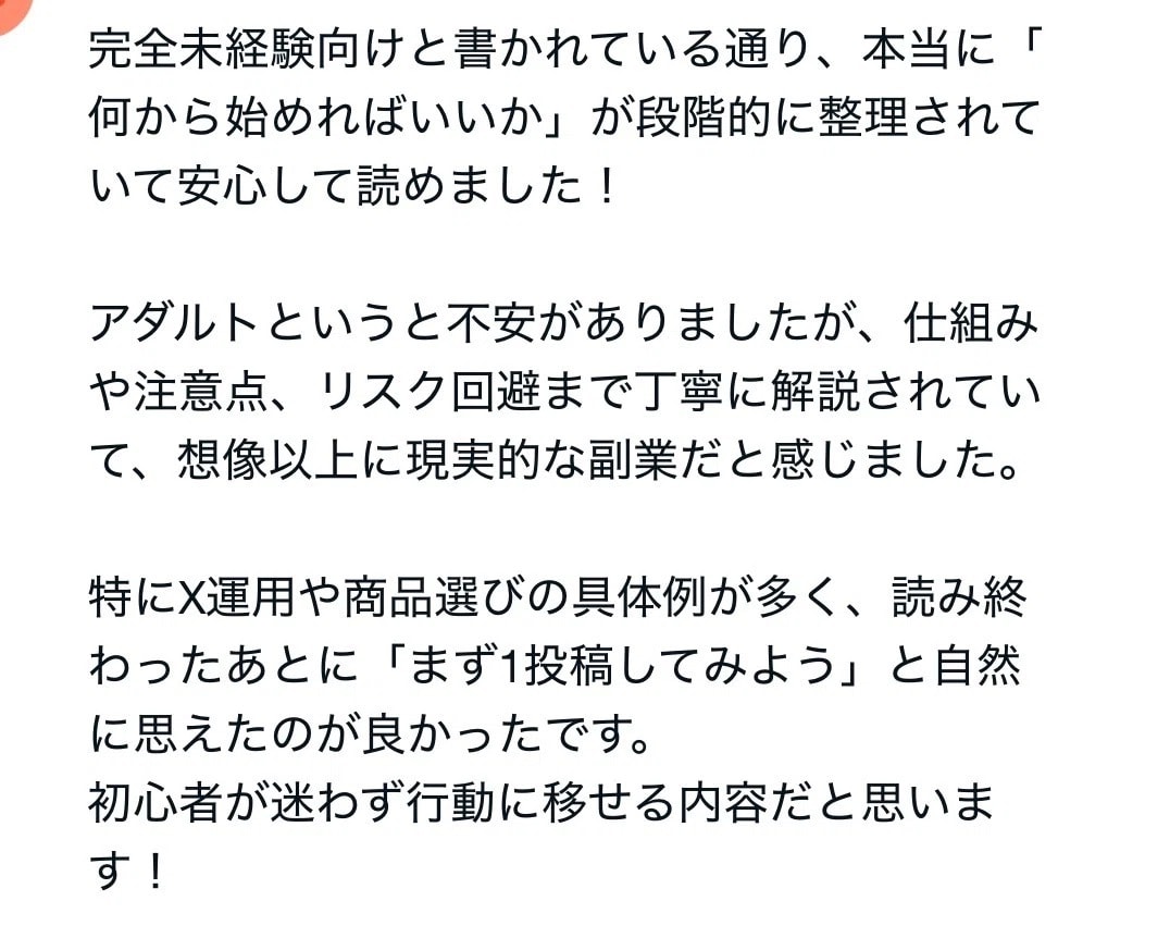 アダルトアフィリエイトの始め方教えます ブルーオーシャンのアダルトアフィリエイトの稼ぎ方教えます！ イメージ2