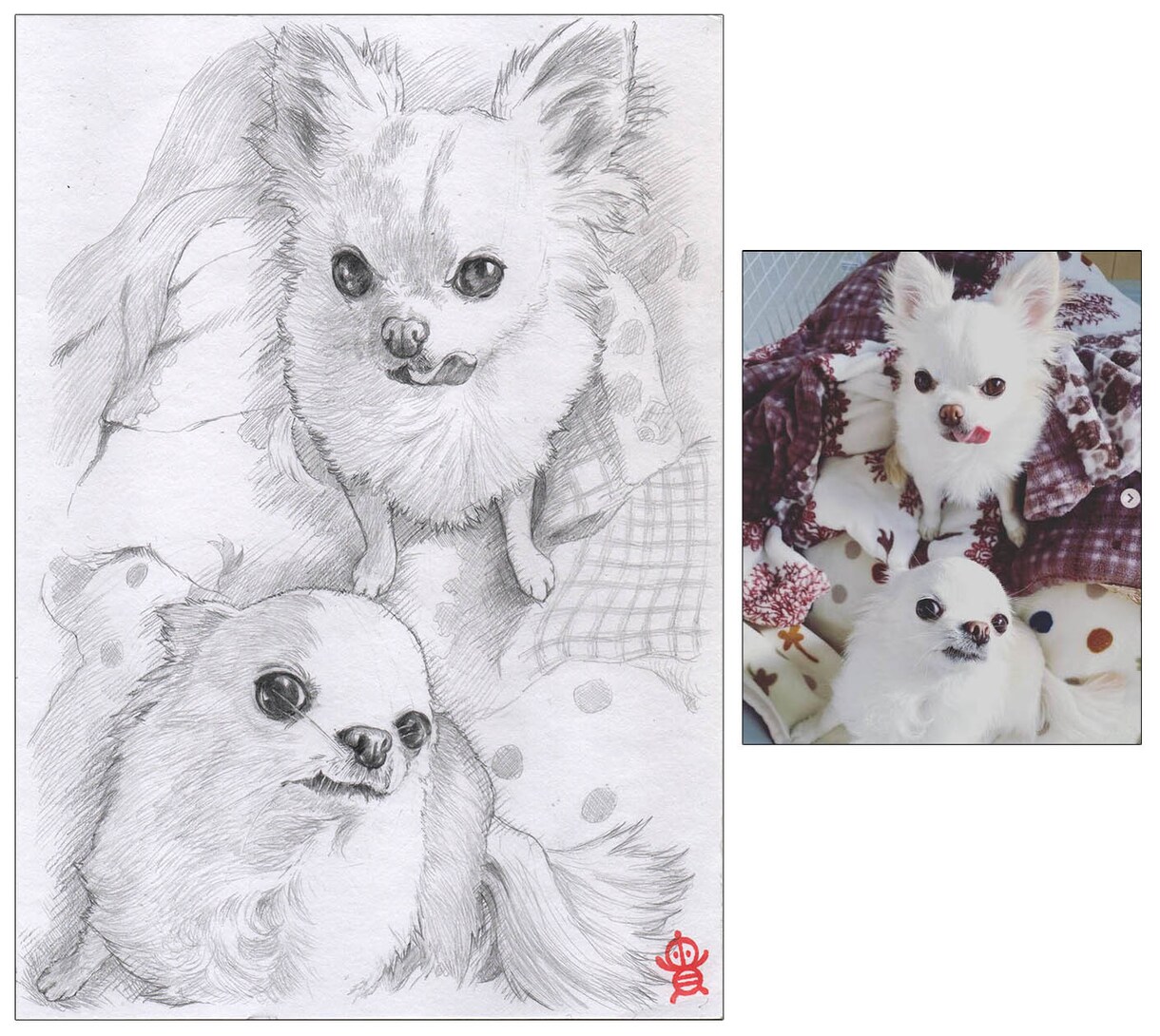 ペット・動物似顔絵お描きします 可愛いペット・動物を鉛筆／色鉛筆でスケッチ風、写実系似顔絵に イメージ5